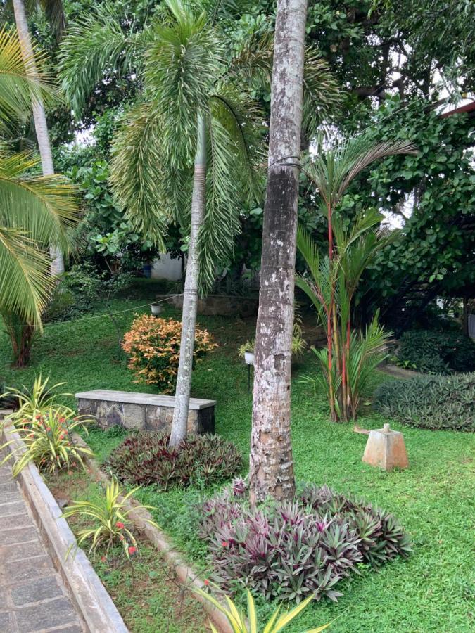 Lali Villa & Fruit Garden 高尔 外观 照片