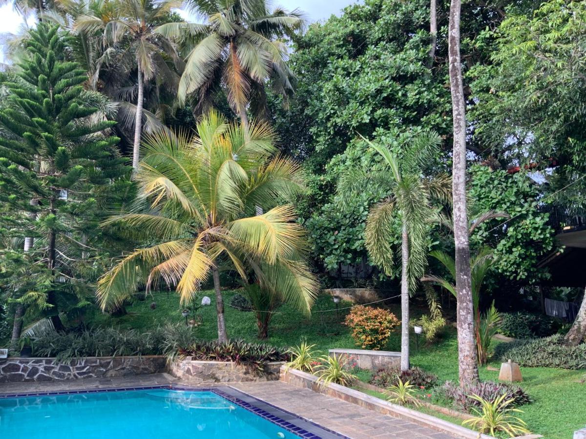 Lali Villa & Fruit Garden 高尔 外观 照片