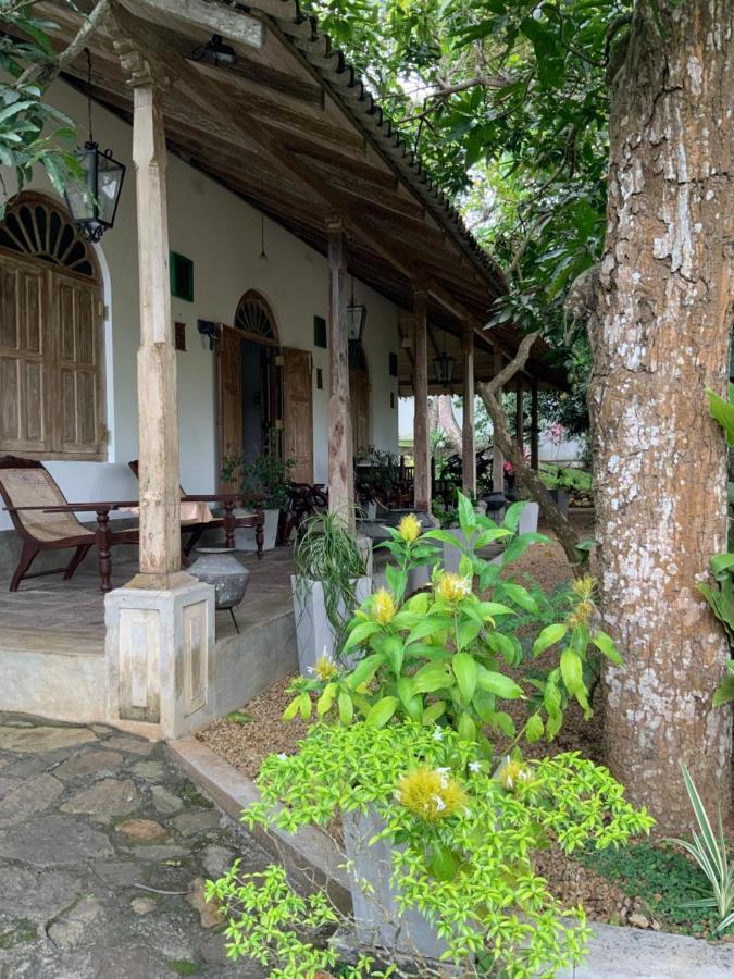 Lali Villa & Fruit Garden 高尔 外观 照片