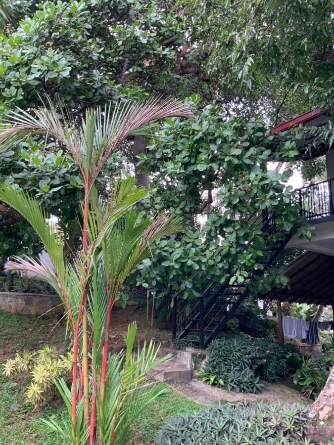 Lali Villa & Fruit Garden 高尔 外观 照片
