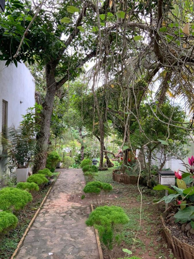 Lali Villa & Fruit Garden 高尔 外观 照片