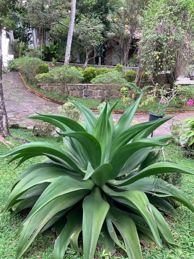 Lali Villa & Fruit Garden 高尔 外观 照片