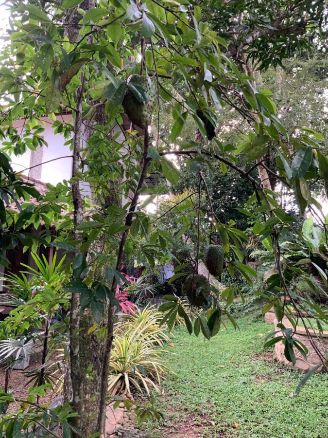 Lali Villa & Fruit Garden 高尔 外观 照片