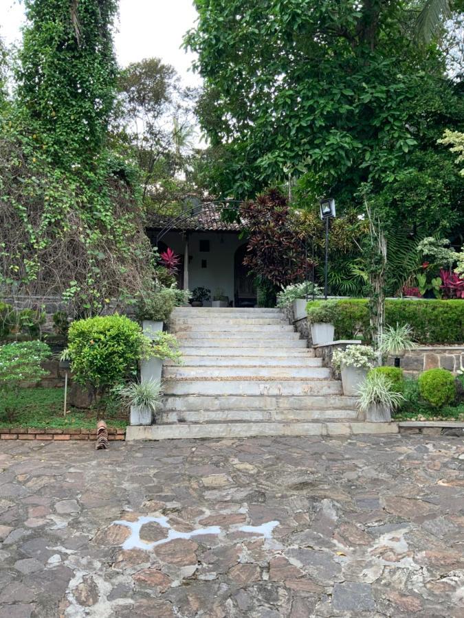 Lali Villa & Fruit Garden 高尔 外观 照片