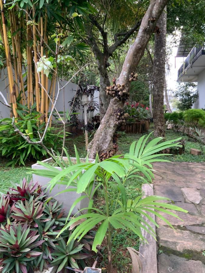 Lali Villa & Fruit Garden 高尔 外观 照片