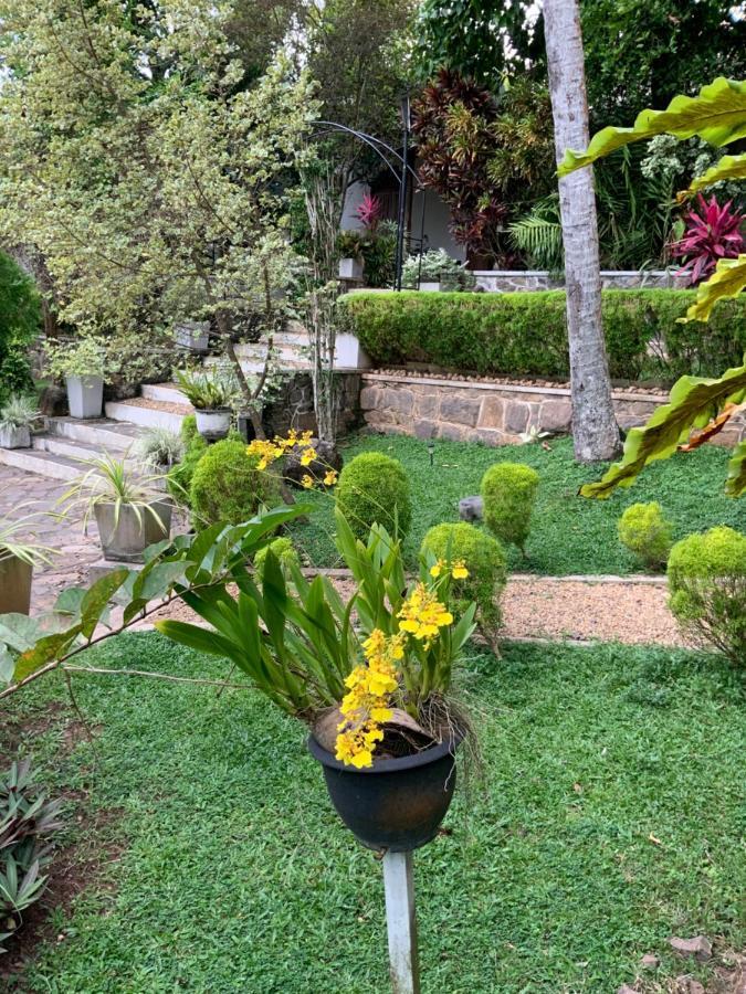 Lali Villa & Fruit Garden 高尔 外观 照片