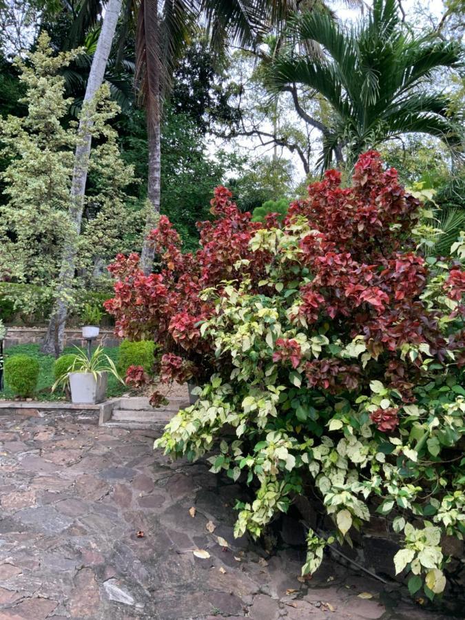 Lali Villa & Fruit Garden 高尔 外观 照片