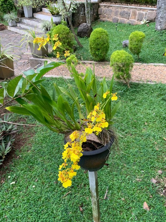 Lali Villa & Fruit Garden 高尔 外观 照片