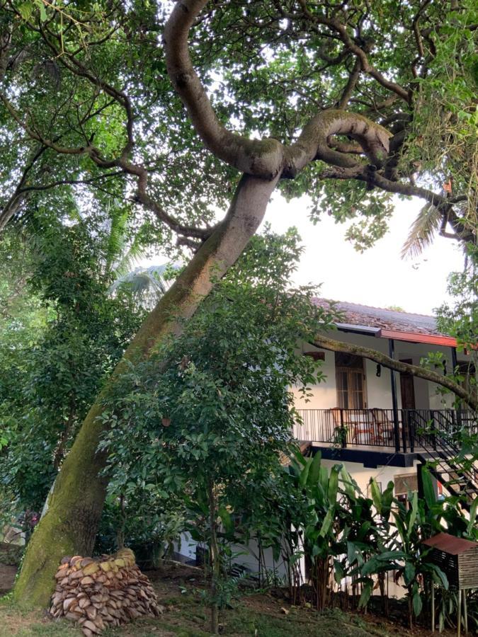 Lali Villa & Fruit Garden 高尔 外观 照片