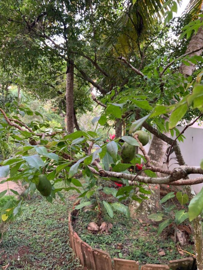 Lali Villa & Fruit Garden 高尔 外观 照片