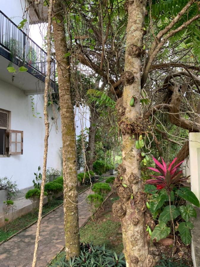 Lali Villa & Fruit Garden 高尔 外观 照片