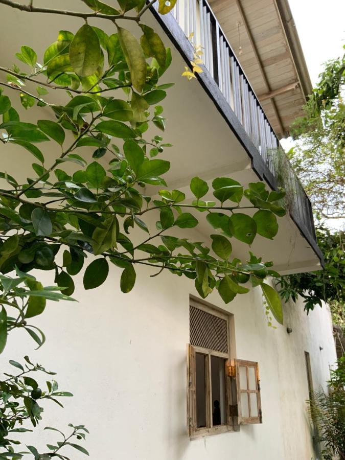Lali Villa & Fruit Garden 高尔 外观 照片