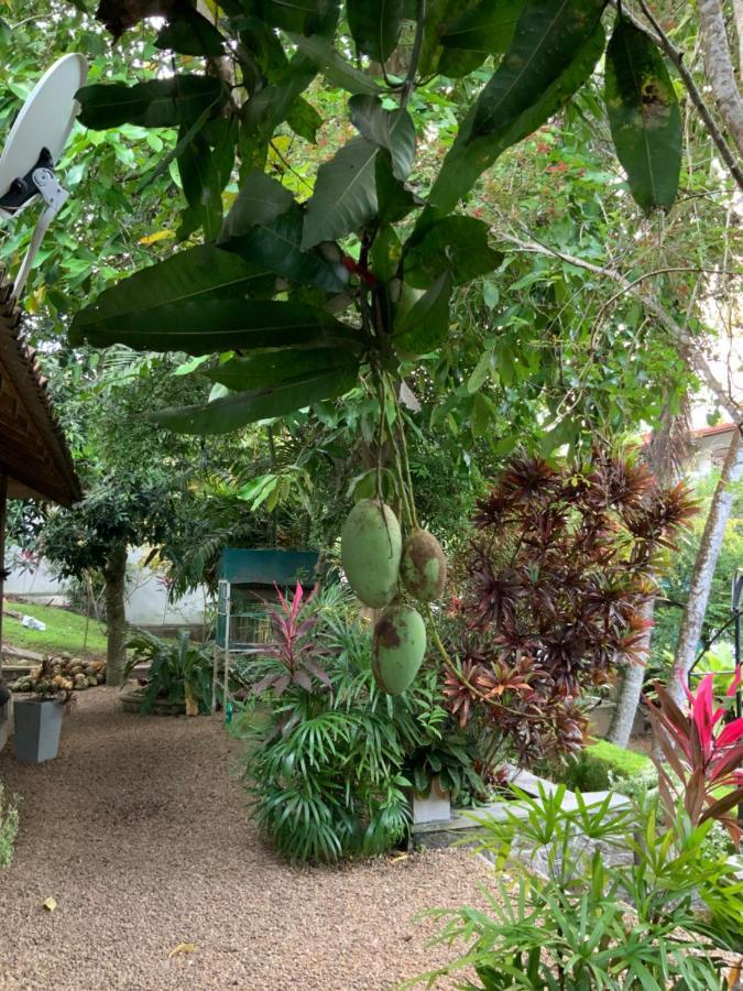Lali Villa & Fruit Garden 高尔 外观 照片